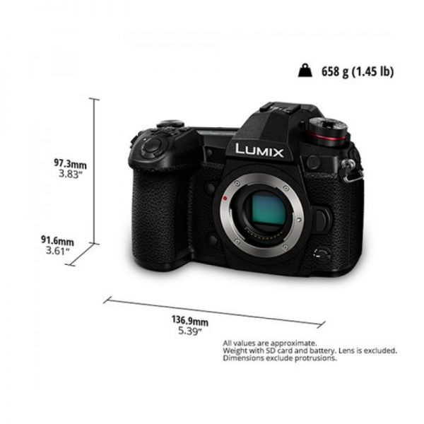 Цифровой фотоаппарат Panasonic Lumix DC-G9 body