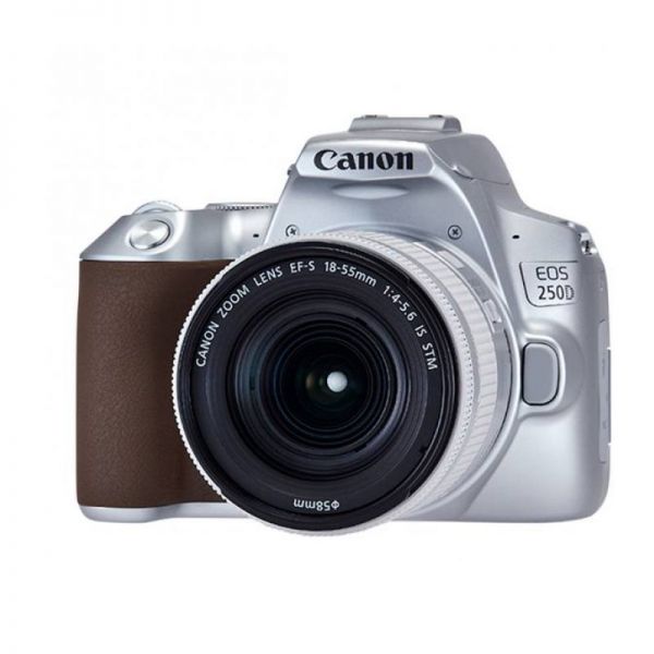 Зеркальный фотоаппарат Canon EOS 250D Kit EF-S 18-55mm f/4-5.6 IS STM silver